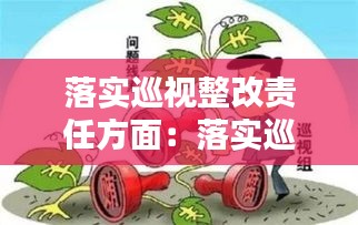 落实巡视整改责任方面:落实巡视整改工作存在的问题和不足