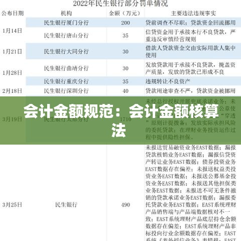 会计金额规范:会计金额核算法