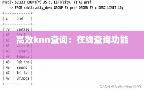 高效knn查询:在线查询功能