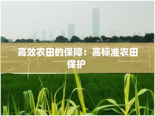 贵冠履轻头足 第4页