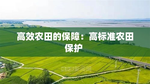高效农田的保障:高标准农田保护