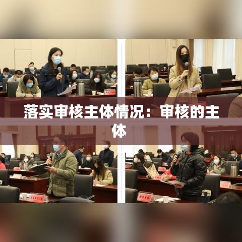 落实审核主体情况:审核的主体