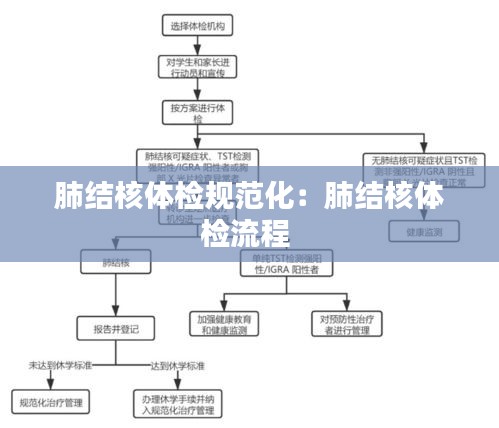 肺结核体检规范化:肺结核体检流程