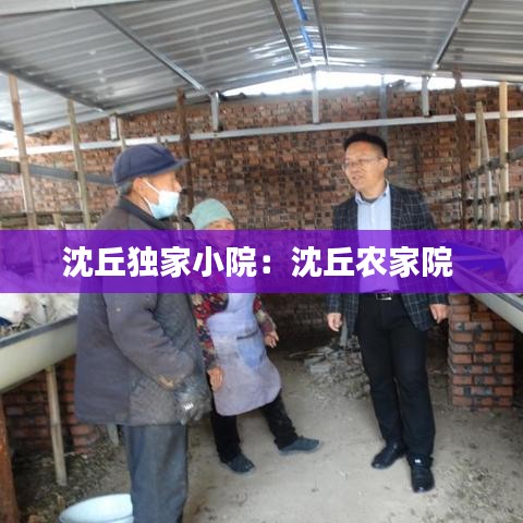 沈丘独家小院:沈丘农家院