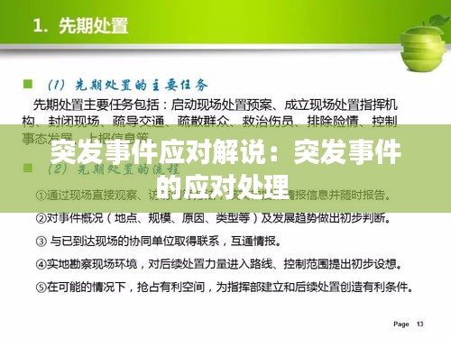 突发事件应对解说:突发事件的应对处理