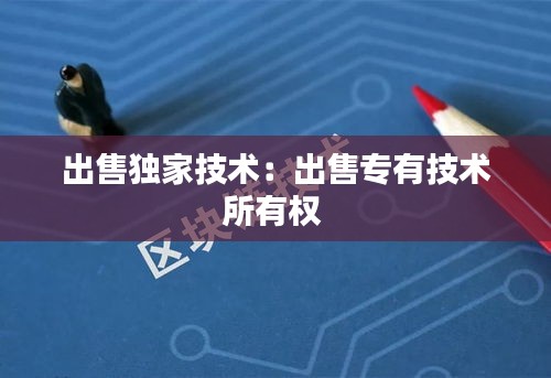 出售独家技术:出售专有技术所有权