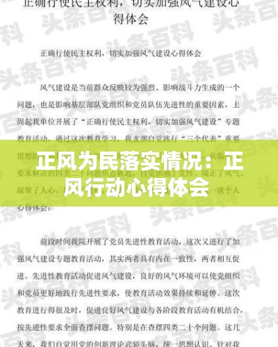 正风为民落实情况:正风行动心得体会