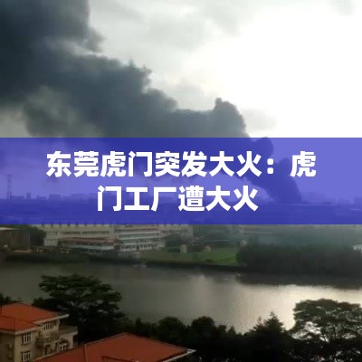 接连不断 第3页