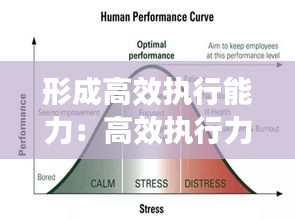形成高效执行能力:高效执行力概念
