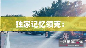 独家记忆领克: