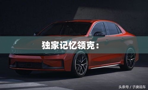 独家记忆领克: