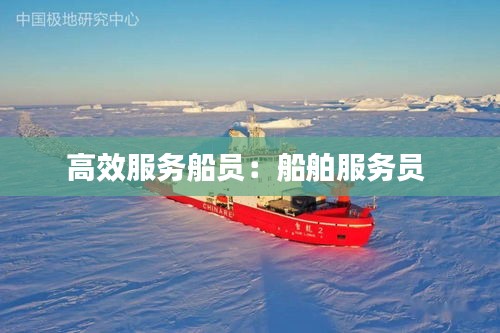高效服务船员:船舶服务员