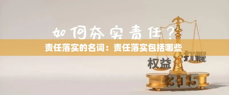 责任落实的名词:责任落实包括哪些