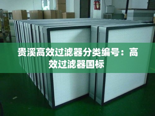 贵溪高效过滤器分类编号:高效过滤器国标