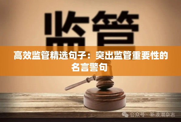 高效监管精选句子:突出监管重要性的名言警句