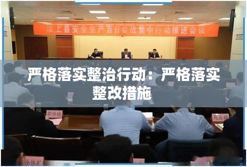 严格落实整治行动:严格落实整改措施