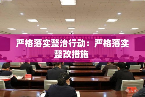 严格落实整治行动:严格落实整改措施