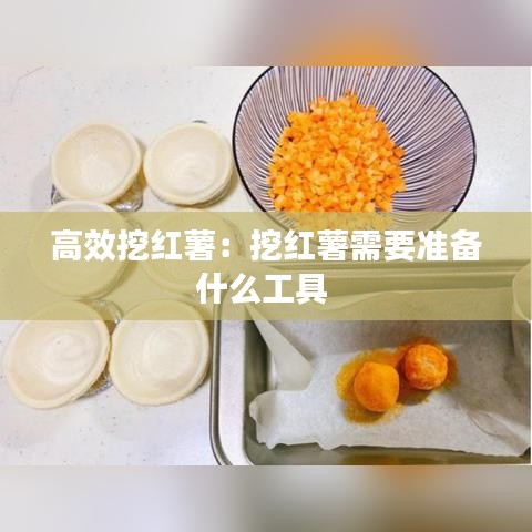 高效挖红薯:挖红薯需要准备什么工具