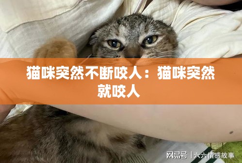 猫咪突然不断咬人:猫咪突然就咬人