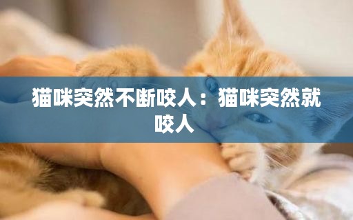 猫咪突然不断咬人:猫咪突然就咬人