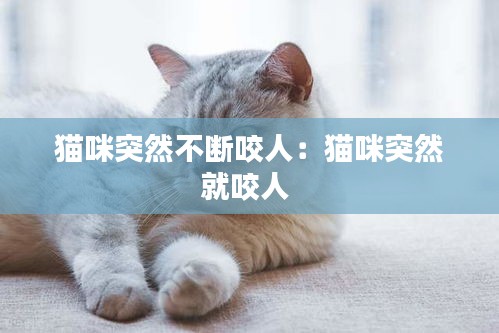 猫咪突然不断咬人:猫咪突然就咬人