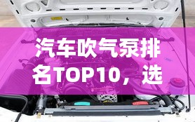 汽车吹气泵排名TOP10,选购必备指南