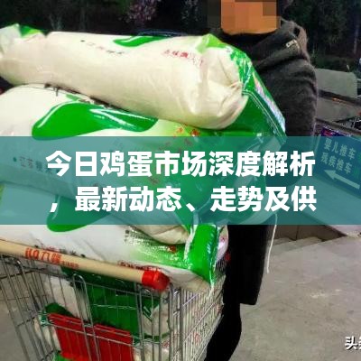 今日鸡蛋市场深度解析,最新动态、走势及供需全方位探讨