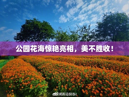 知错就改 第4页