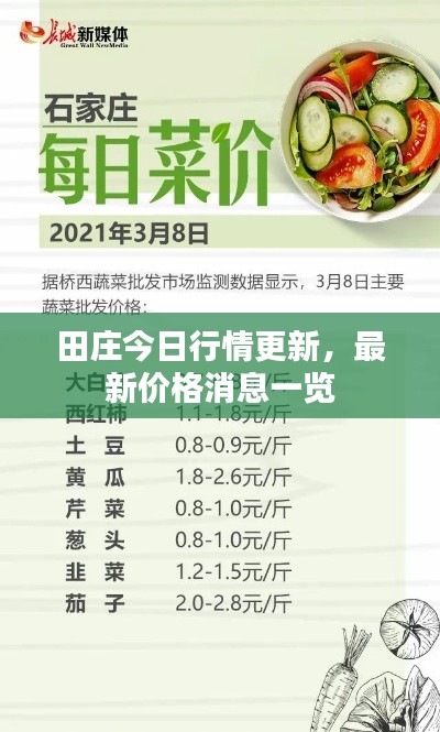 田庄今日行情更新,最新价格消息一览