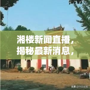 湘楼新闻直播,揭秘最新消息,实时掌握今日动态