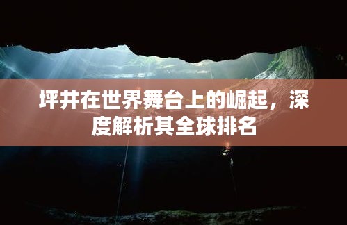 坪井在世界舞台上的崛起,深度解析其全球排名