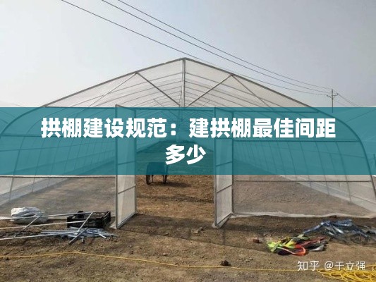 拱棚建设规范:建拱棚最佳间距多少
