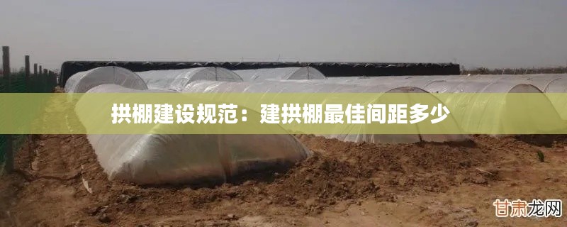 拱棚建设规范:建拱棚最佳间距多少