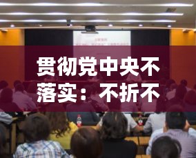 贯彻党中央不落实:不折不扣贯彻落实中央决策部署方面的问题