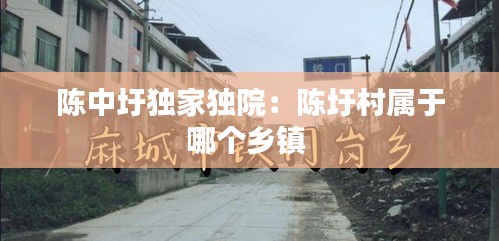 陈中圩独家独院:陈圩村属于哪个乡镇