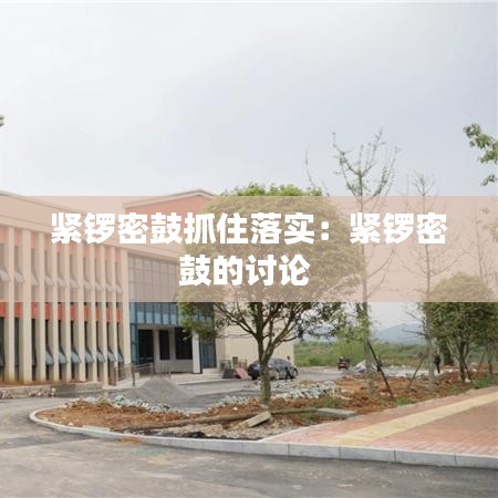 紧锣密鼓抓住落实:紧锣密鼓的讨论