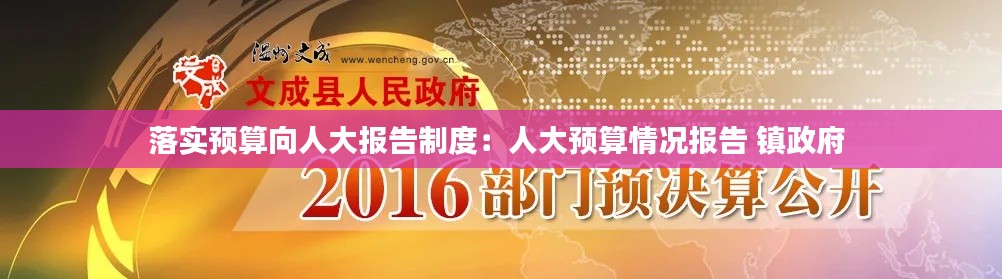 落实预算向人大报告制度:人大预算情况报告 镇政府