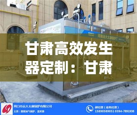 甘肃高效发生器定制:甘肃高效发生器定制公司