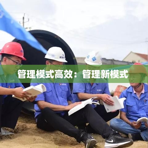管理模式高效:管理新模式