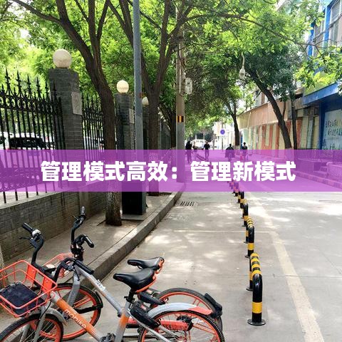 管理模式高效:管理新模式