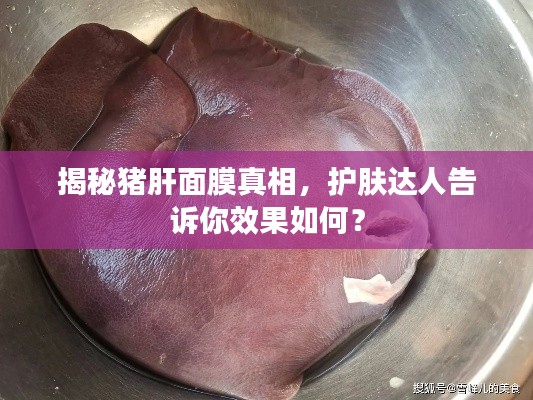 揭秘猪肝面膜真相,护肤达人告诉你效果如何?