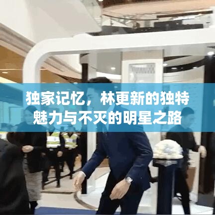 独家记忆,林更新的独特魅力与不灭的明星之路