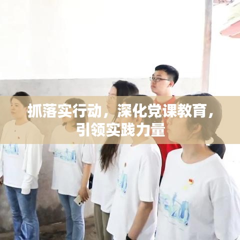 抓落实行动,深化党课教育,引领实践力量