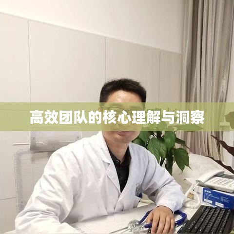 高效团队的核心理解与洞察