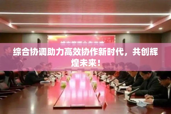 综合协调助力高效协作新时代,共创辉煌未来!