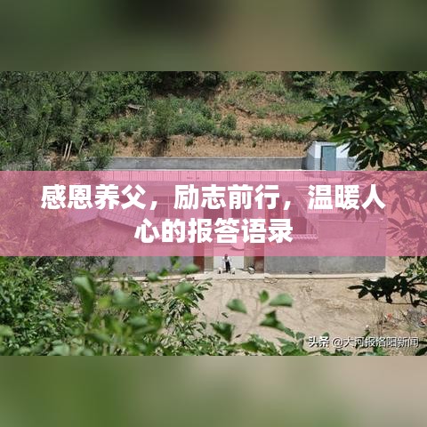 感恩养父,励志前行,温暖人心的报答语录