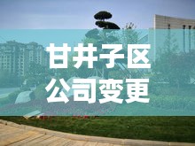 甘井子区公司变更排名最新动态揭秘!