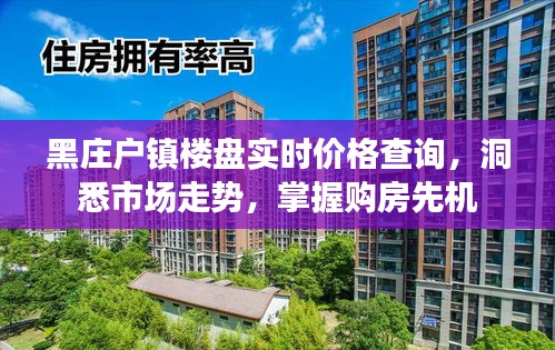 黑庄户镇楼盘实时价格查询,洞悉市场走势,掌握购房先机