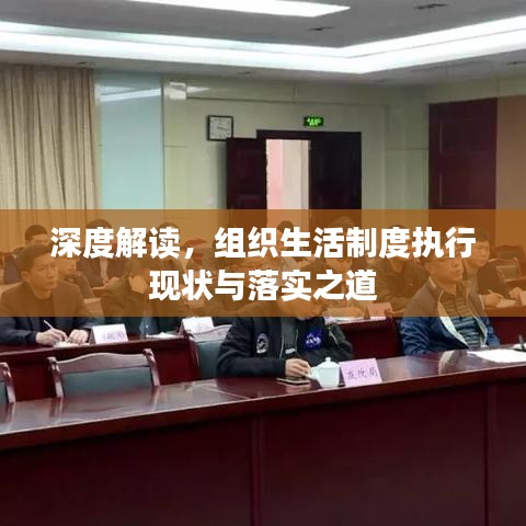 深度解读,组织生活制度执行现状与落实之道