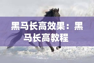 黑马长高效果:黑马长高教程